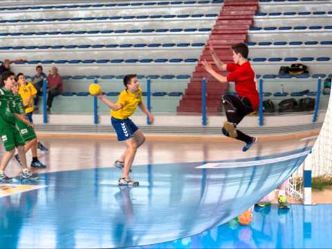 Torneo di  Pallamano Città di Torri 2014