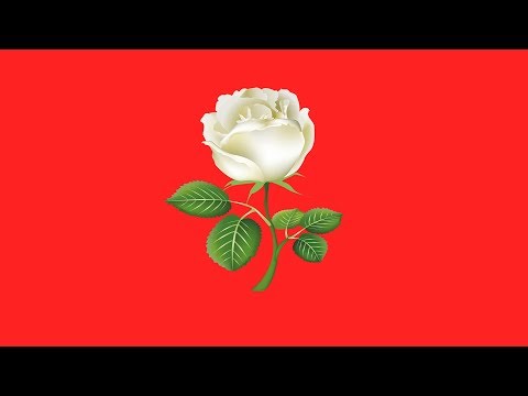"White Dove" Quavo x Gucci Mane x Offset Type Beat (Prod. Guillermo)