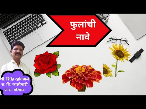 फुलांची नावे/Flowers name @study with hitendra