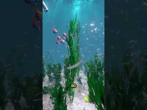 Если все люди выбросят ногти в океан, это произойдет #shorts #ocean