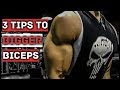 3 Tips for Bigger Biceps