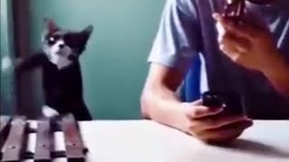 Download lagu Sawagashi hibi ni waraenai kimi ni Omoitsuku kagiri mabushii asu wo mp3