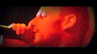 manemono-sons of the desert