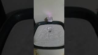 Re: [心得/抱怨] 反推ALNPET PettoFund飲水機