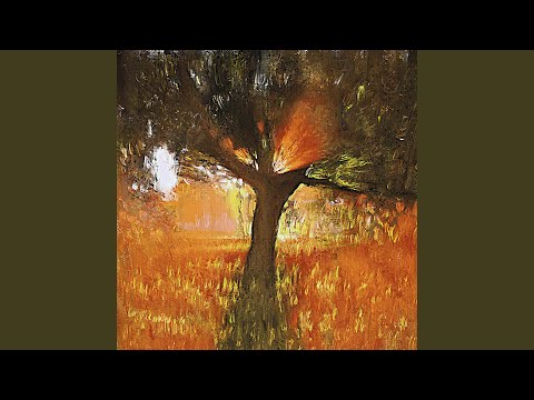 Video thumbnail for Losing Light