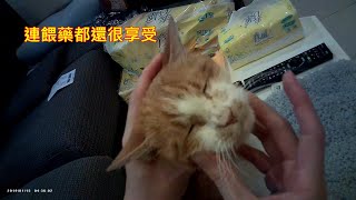 [問題] Rapros餵藥請教