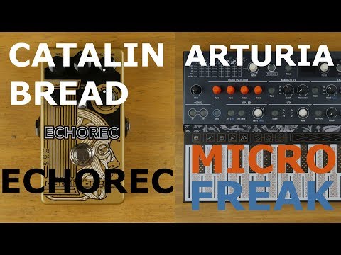 Pedals4Synths - CATALINBREAD   ECHOREC W/Arturia Microfreak