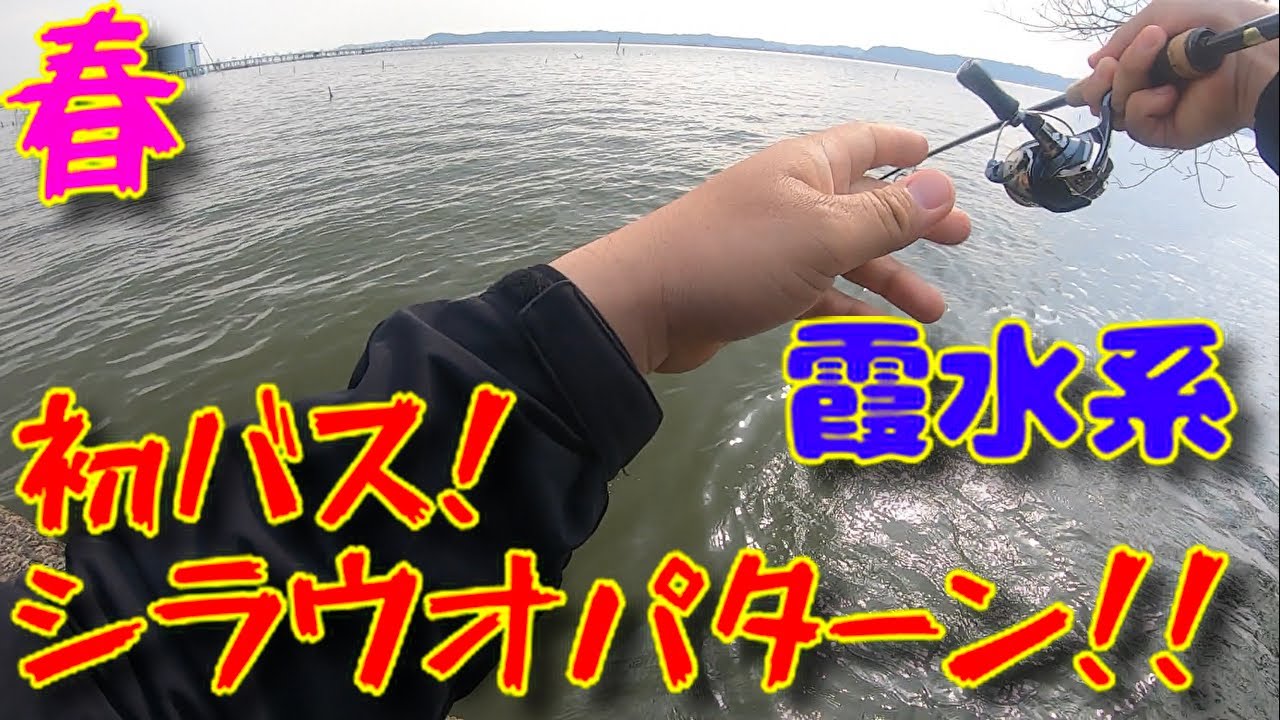 【春】シラウオパターンで初バス！！【霞ヶ浦】【北浦】【バス釣り】