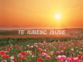 Negative crestine - TE IUBESC ISUSE - Nicu Neamt ...