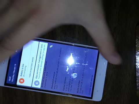 Blubbo Maya -  Screen Issues