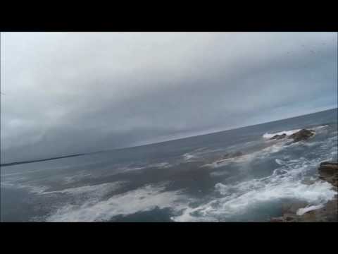 Bass Bandits - Mackerel Fishing Slade
