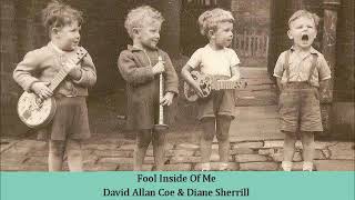 Fool Inside Of Me   David Allan Coe &amp; Diane Sherrill