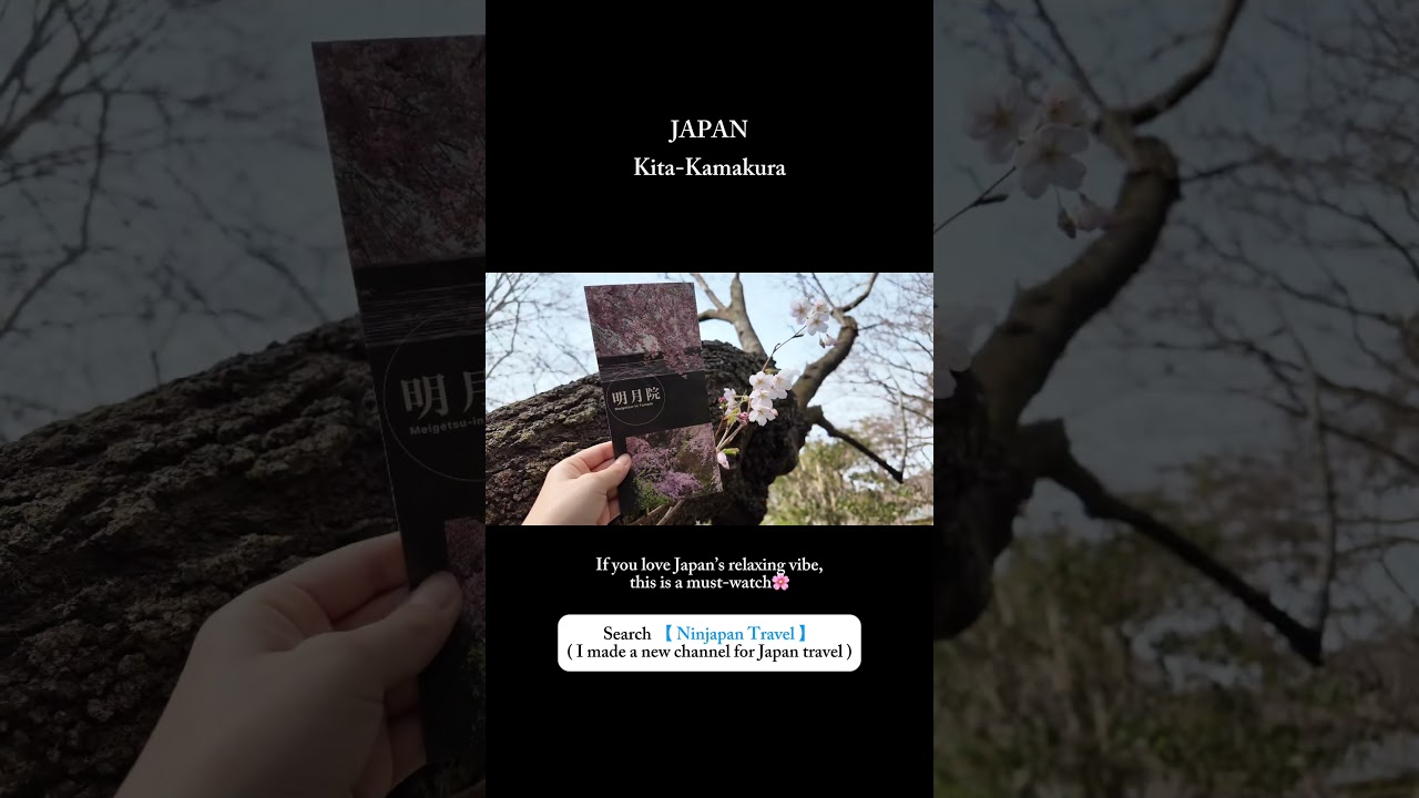 New Channel For Japan Travel 🇯🇵✈️ #japan