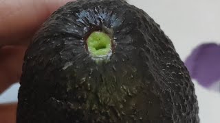 🥑AVOCADO HACK! Do Not Cut The Avocado - Try This New Way [Just squeeze!] #Shorts