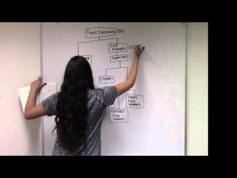 Seth Holmes's Fresh Fruit Broken Bodies POV