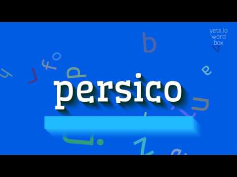 How to say "persico"! (High Quality Voices)
