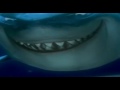 Little Nemo Trailer