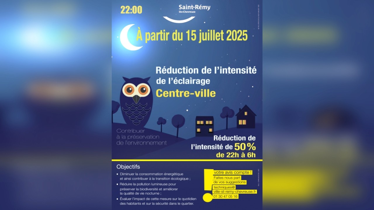 Motion Design Affiche Animée