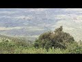 FINALLY THE DAY IS HERE LAZIMA TWENDE NA DANGULO HOME GOD HELP US