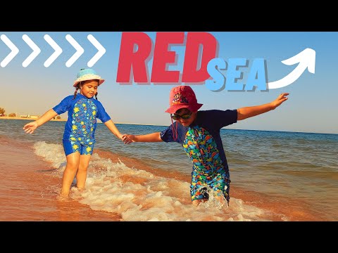 Mohid and Mehroo are playing with sand on the beach🏖️