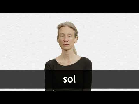 How to pronounce SOL in French