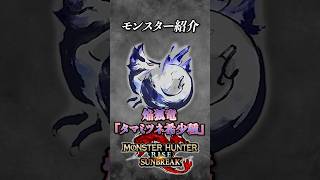 【解説】MHXで登場した人気モンスターの希少種『焔狐竜タマミツネ希少種』#モンハン #モンハンサンブレイク #モンハンライズサンブレイク #まーぼー #解説