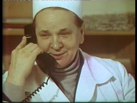 Каждый день доктора Куницыной