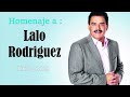 Lalo Rodriguez Tributo Mix  Top 10 Las Mejores Canciones - MÚSICA MÁGICA Lalo Rodriguez Tributo Mix  Top 10 Las Mejores Canciones