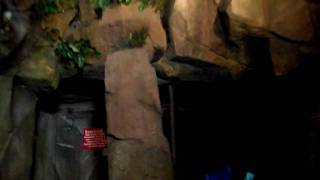 Maelstrom in the Norway Pavilion of Disney's Epcot