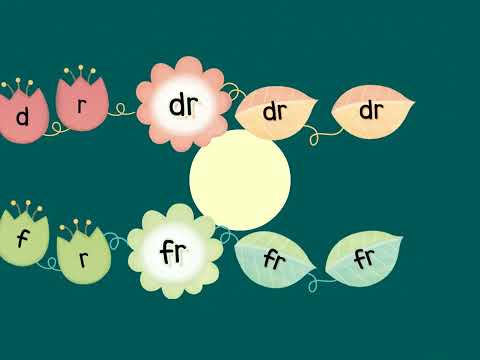 School Phonics 3 Unit 7 Sound Chant - dr fr pr tr