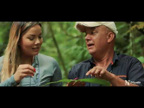 download lagu mp3 mp4 Eafn, download lagu Eafn gratis, unduh video klip Eafn
