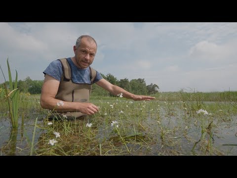 Klein Bylaer | BuitenGewoon 16 juni 2018