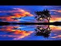 Relaxing Music 24/7, Meditation, Healing, Sleep Music, Calming Music, Zen, Sleep, Yoga, Relax, Study Relaxing Music 24/7, Meditation, Healing, Sleep Music, Calming Music, Zen, Sleep, Yoga, Relax, Study
