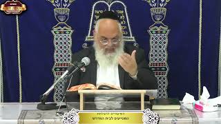 "וחרד ופחד" מה ההבדל ביניהם? ישעיה המשך פרק י"ט ¤ הרב אברהם כהניאן ¤ כ' תמוז תשפ"ה (16.7.2025) (מוסדות תורת דוד) - התמונה מוצגת ישירות מתוך אתר האינטרנט יוטיוב. זכויות היוצרים בתמונה שייכות ליוצרה. קישור קרדיט למקור התוכן נמצא בתוך דף הסרטון