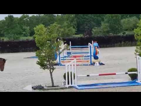 Seven van 't Zorgvliet - show video