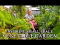 Massively Productive Small Scale Suburban Vegetable Garden Backyard Self Sufficiency On A Budget