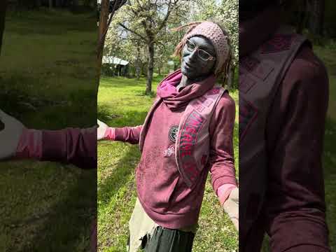 Ein eigenes Land mitten in Tengen – Psyland25