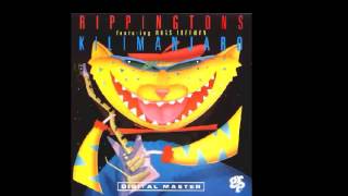 The Rippingtons   Northern Lights