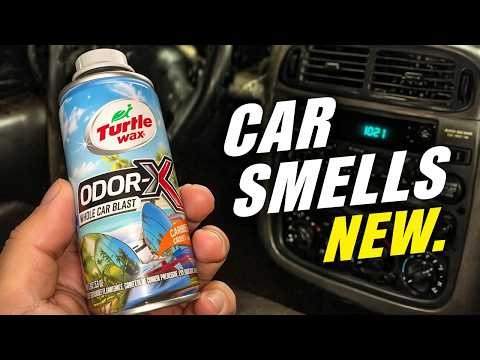 How To Freshen Your Car with Turtle Wax Power Out Odor-X Caribbean Crush