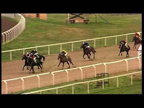 rm 20211224 01 p awchristmasamateur