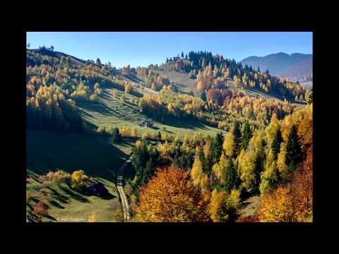 OBÂRȘII - Grigore Leșe, Trio Contraste, Filarmonica de Stat din Arad - Dorin Frandeș