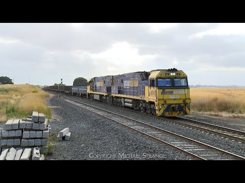 Diverted 5NY3 Pacific National Steel Train (13/1/2023) - PoathTV Australian Railways