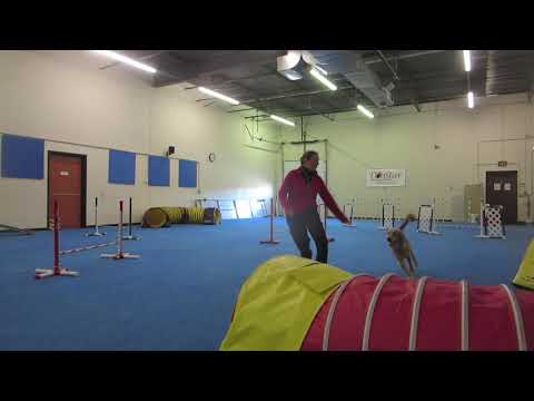 Yashica Sequencing Full 011720