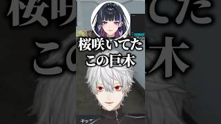 【#にじGTA】狂蘭メロコが生やした巨木の正体が桜で大爆笑の葛葉 #にじさんじ #切り抜き #葛葉 #フレンeルスタリオ #狂蘭メロコ #レオスヴィンセント #エニグマ