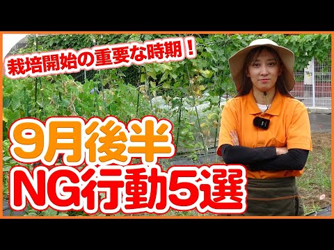 9月から2月にかけて実りの多い収穫を得るために芽キャベツを植えるにはどうすればよいでしょうか?  庭園
