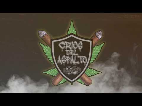 CRIOS DEL ASFALTO - HARD (VIDEO) [PROD. BY LACUEVA BEATMAKE]