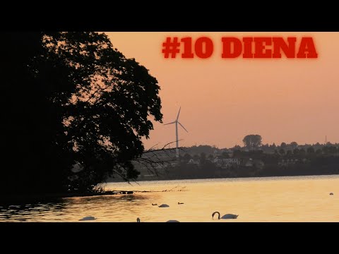 #10 Diena Kiel - Kelmė