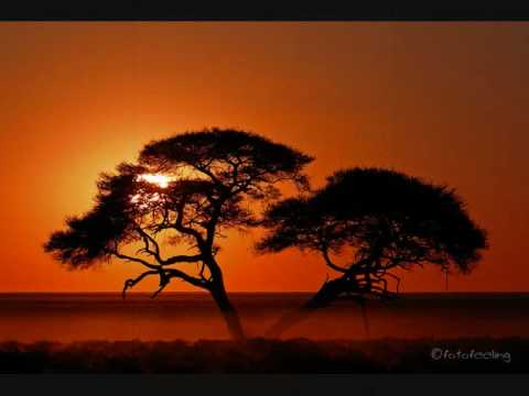 Israel Vibration - The Middle East