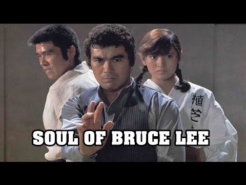 Wu Tang Collection - Soul of Chiba