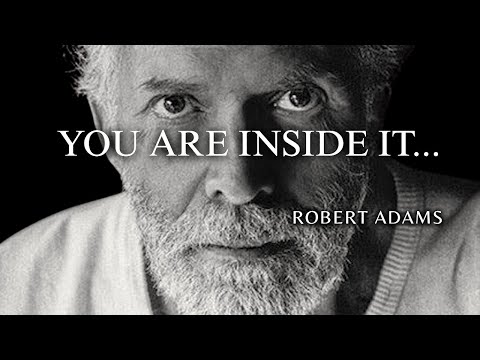 Robert Adams — Consciousness Is Not in You (You Are in It)
